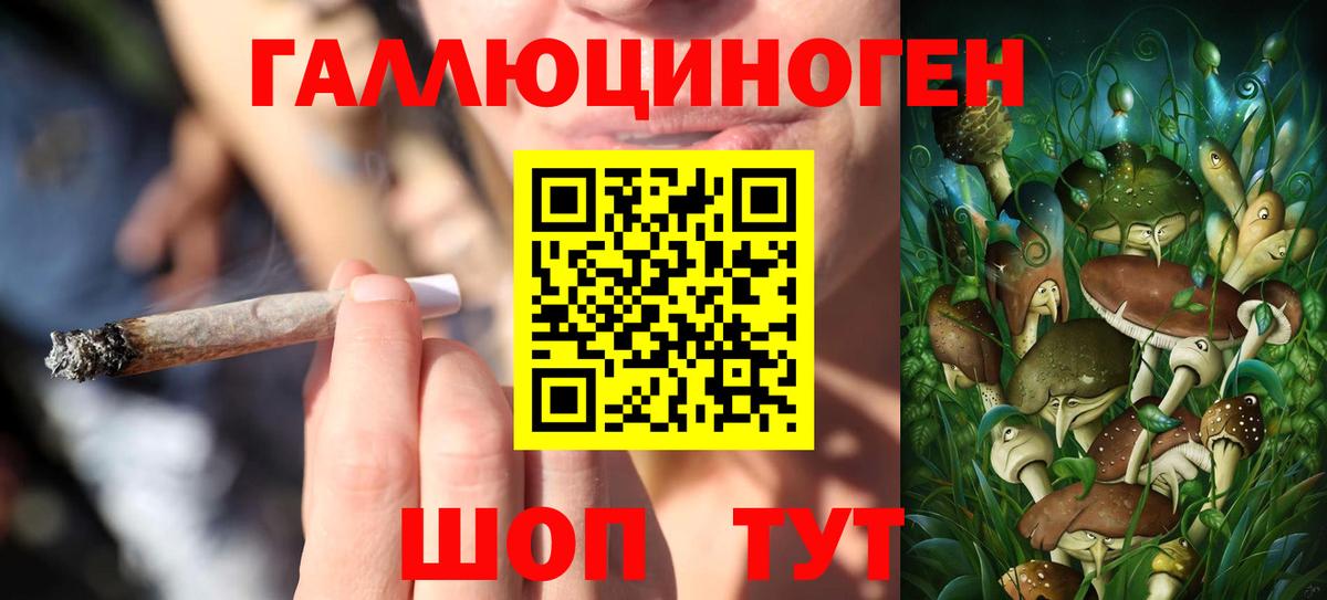 Галлюциногенные грибы Psilocybe  Вход с VPN  Псилоцибиновые грибы Psilocybe  Партизанск 